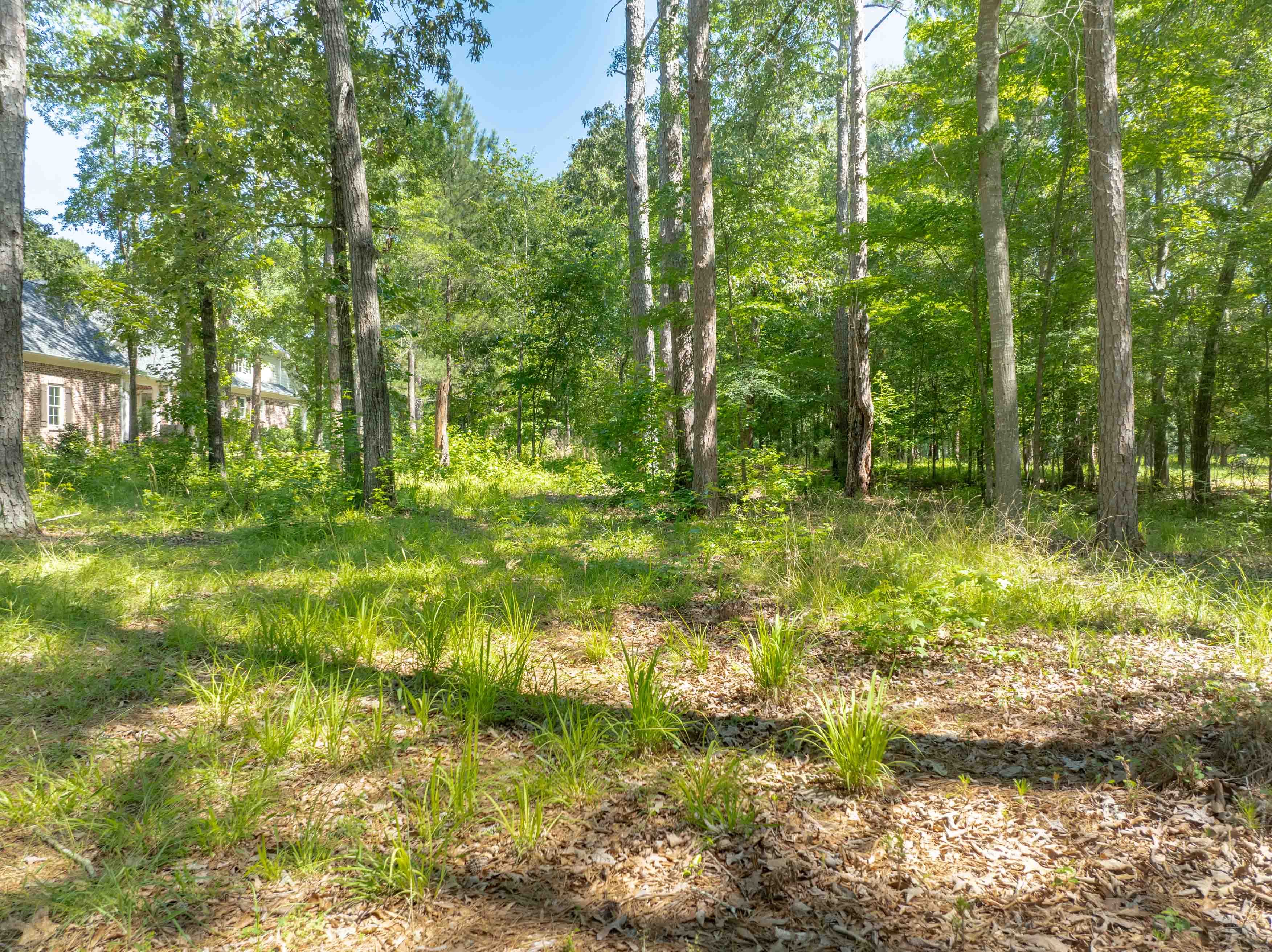 381 Reynolds Drive image 5